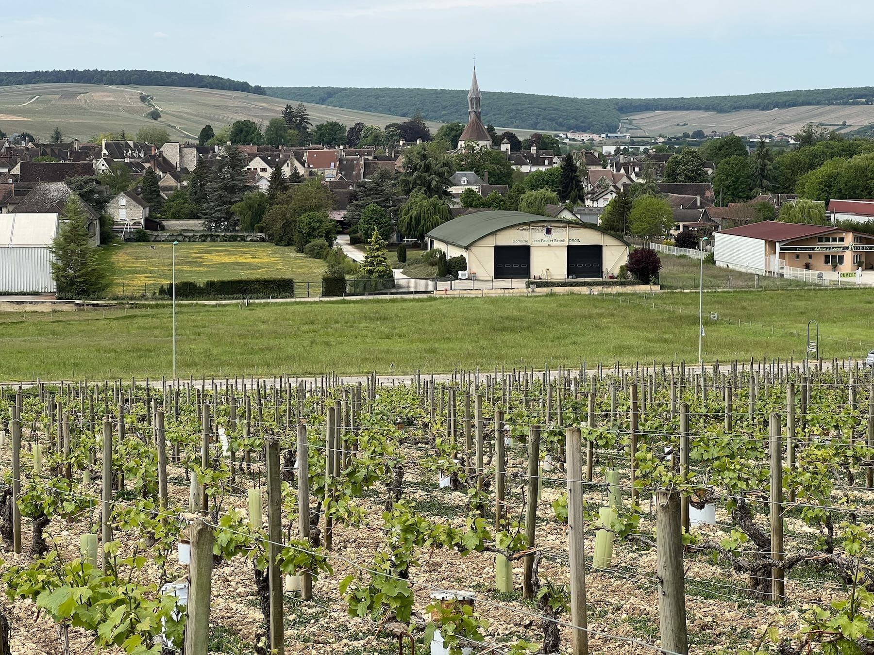 Chabis burgundy Wine France