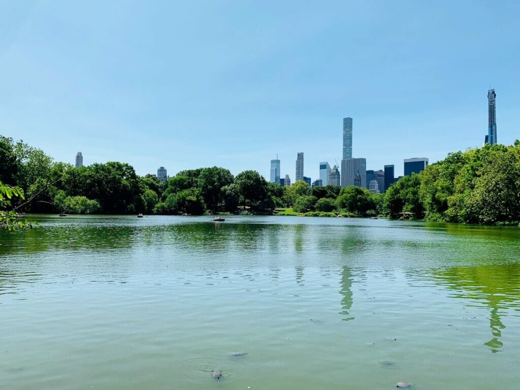 Meditate in Central Park