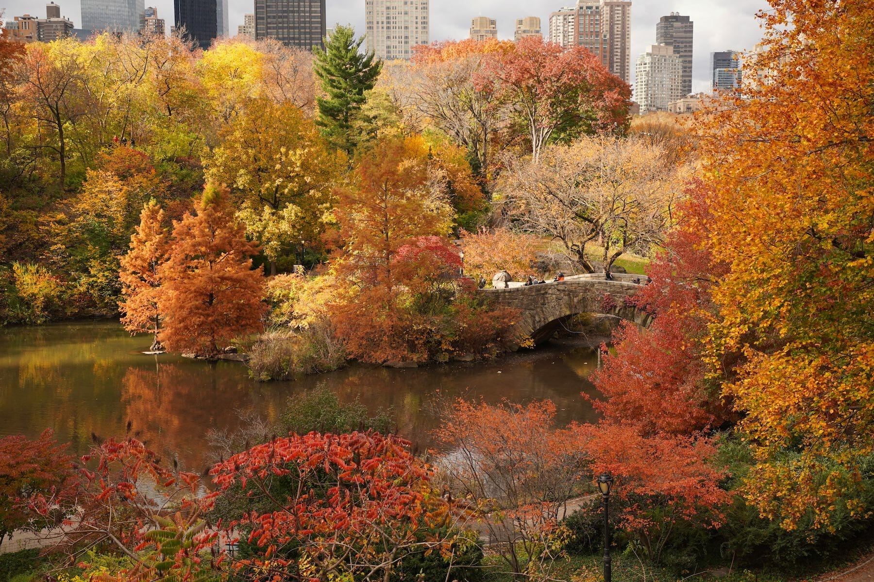 Meditation in New York City - 7 Unique Zen Places