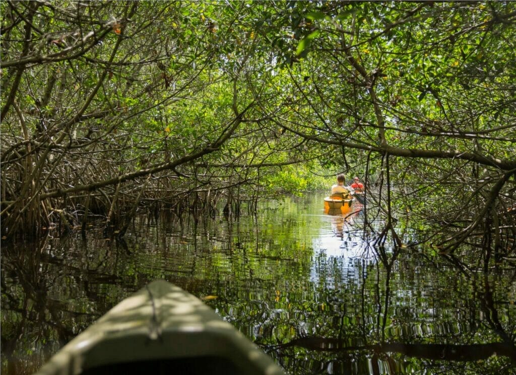 The Everglades National Park - Top activities in Miami