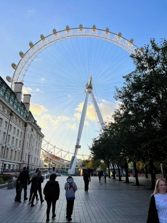 The London Eye aka the Millennium Wheel