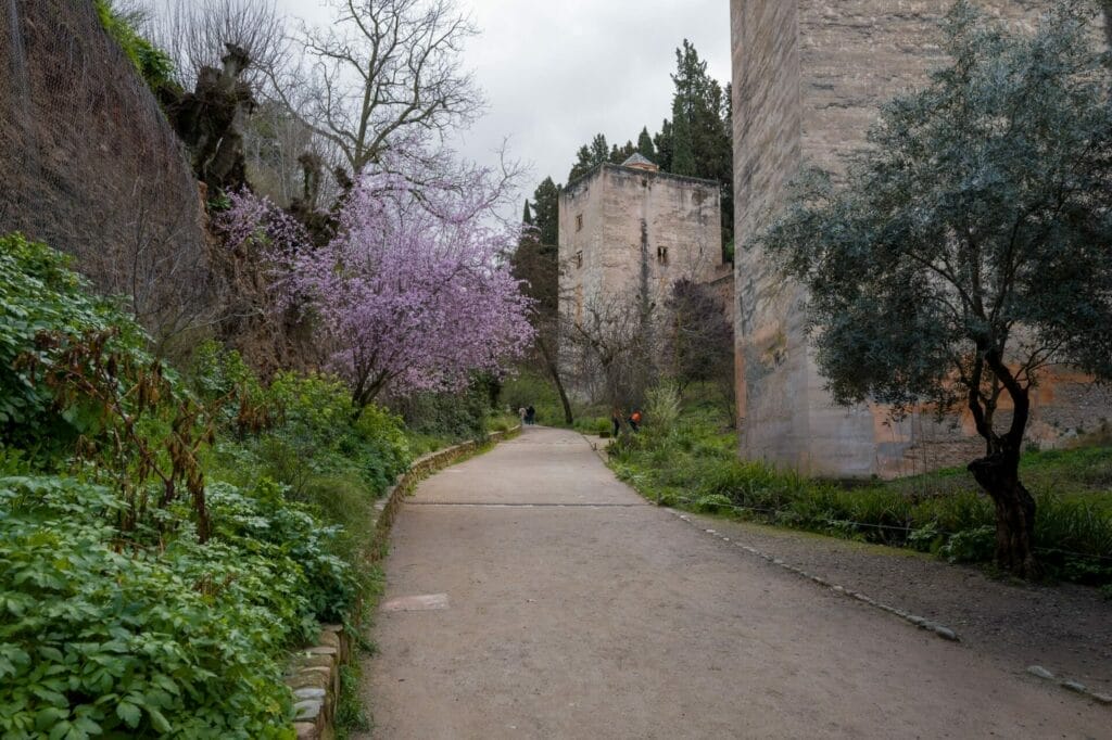 Alhambra fascinating architecture Granada