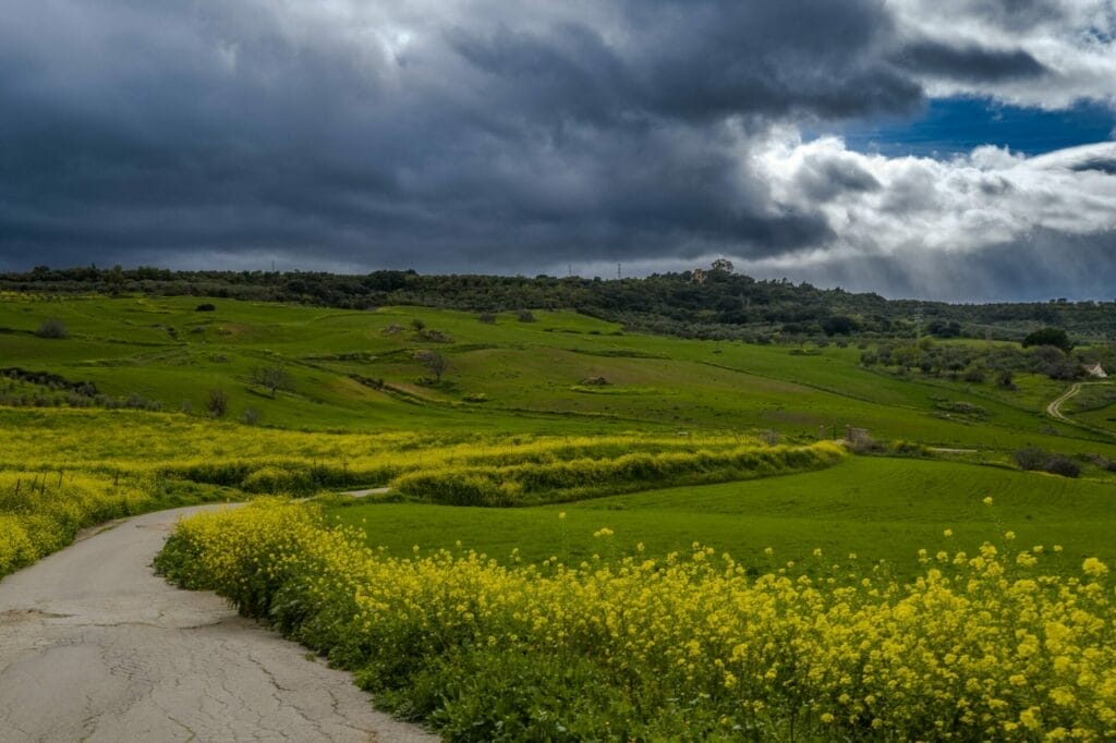 Natural Escapes Around Ronda.Verdant landscape, stormy sky, country road, blooming wildflowers.