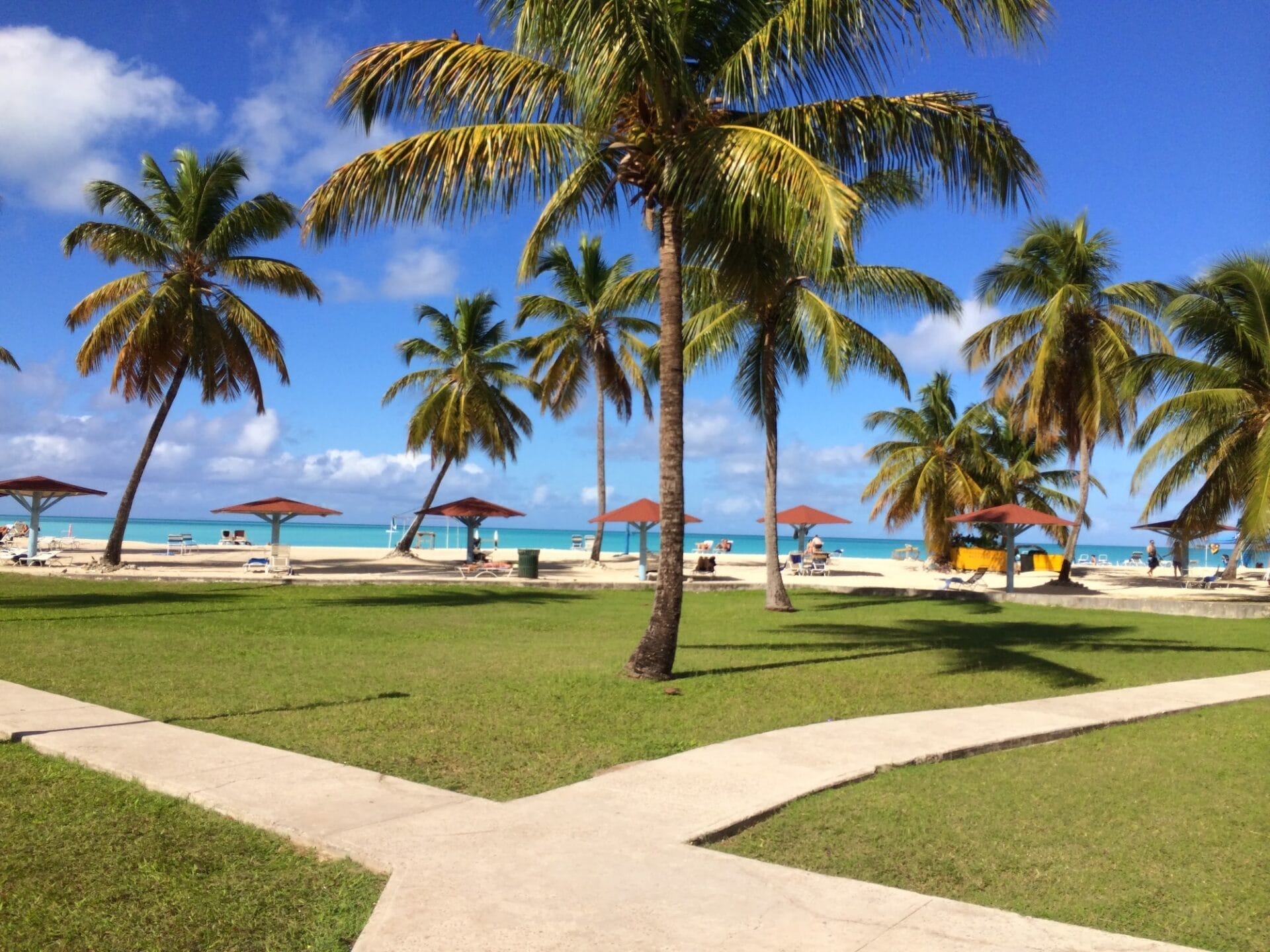 Tropical beach with palm trees and blue sky