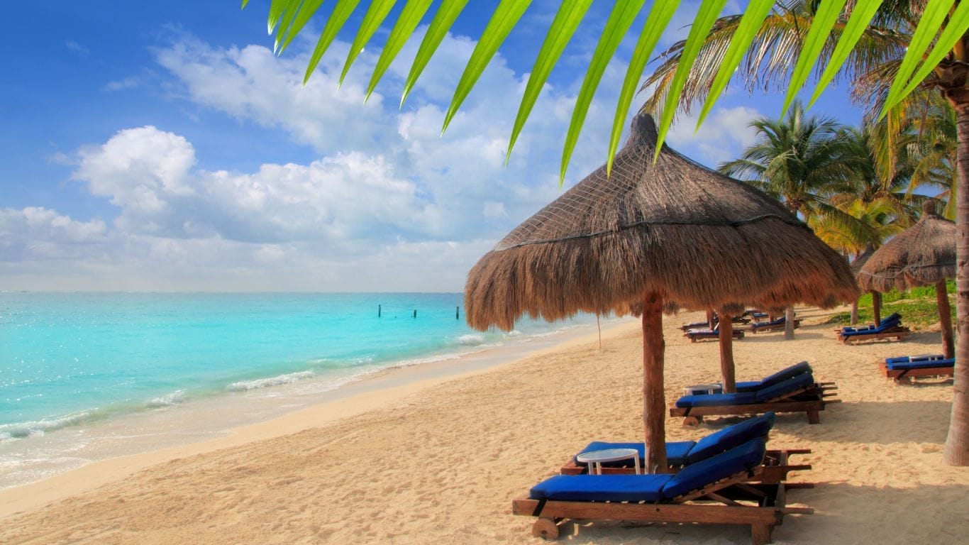 Tropical beach with chairs and palm trees