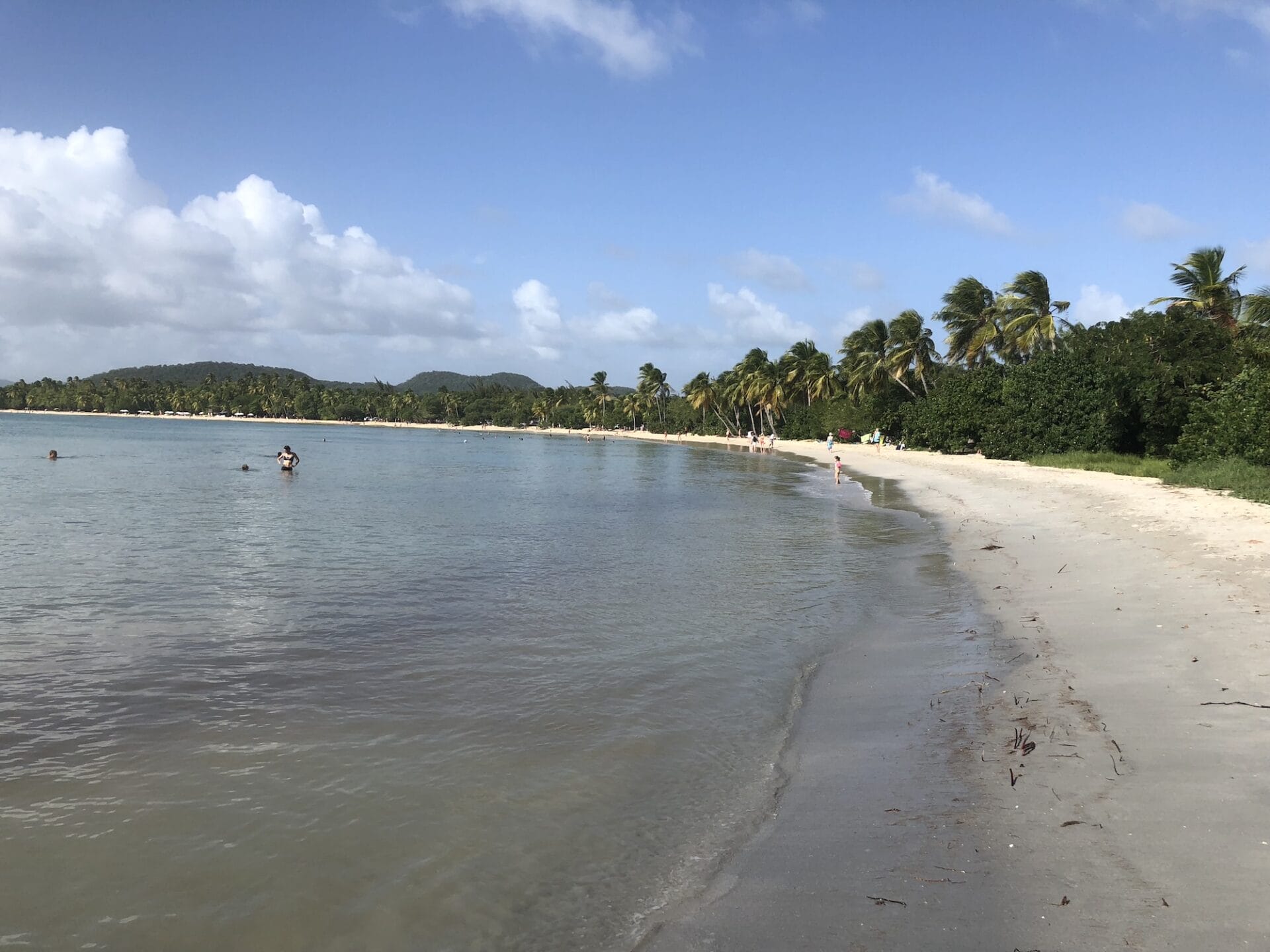 Sunny beach with palm trees and swimming people.