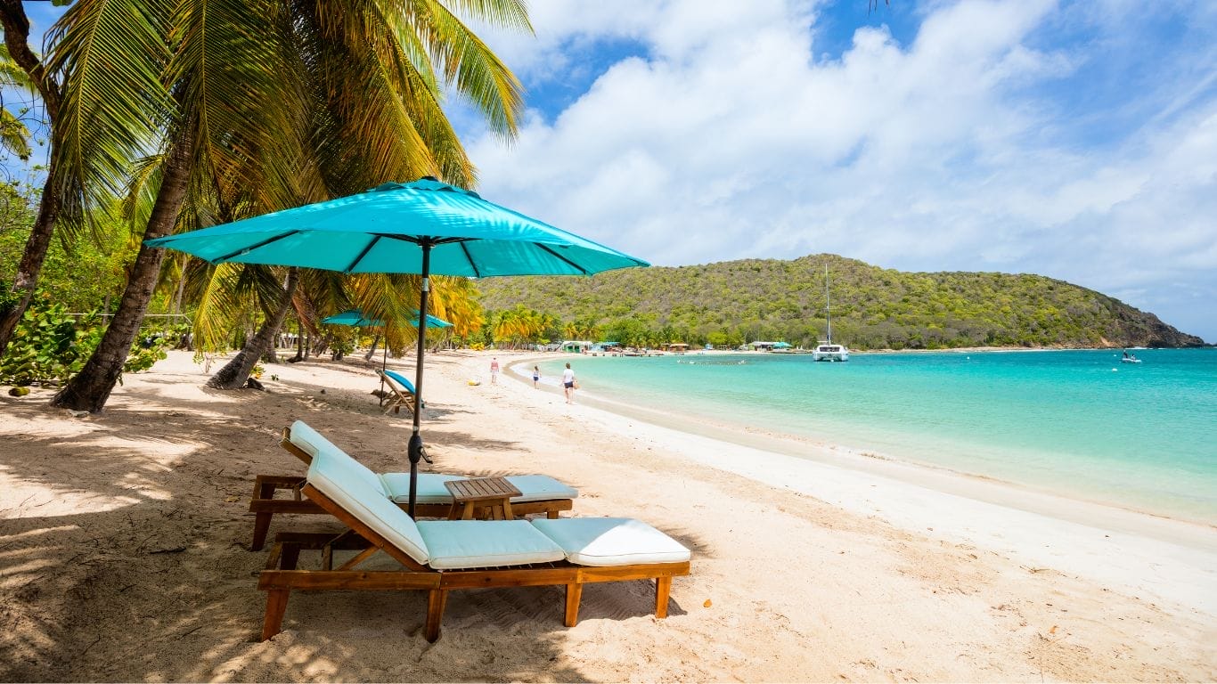 Tropical beach with palm trees and loungers