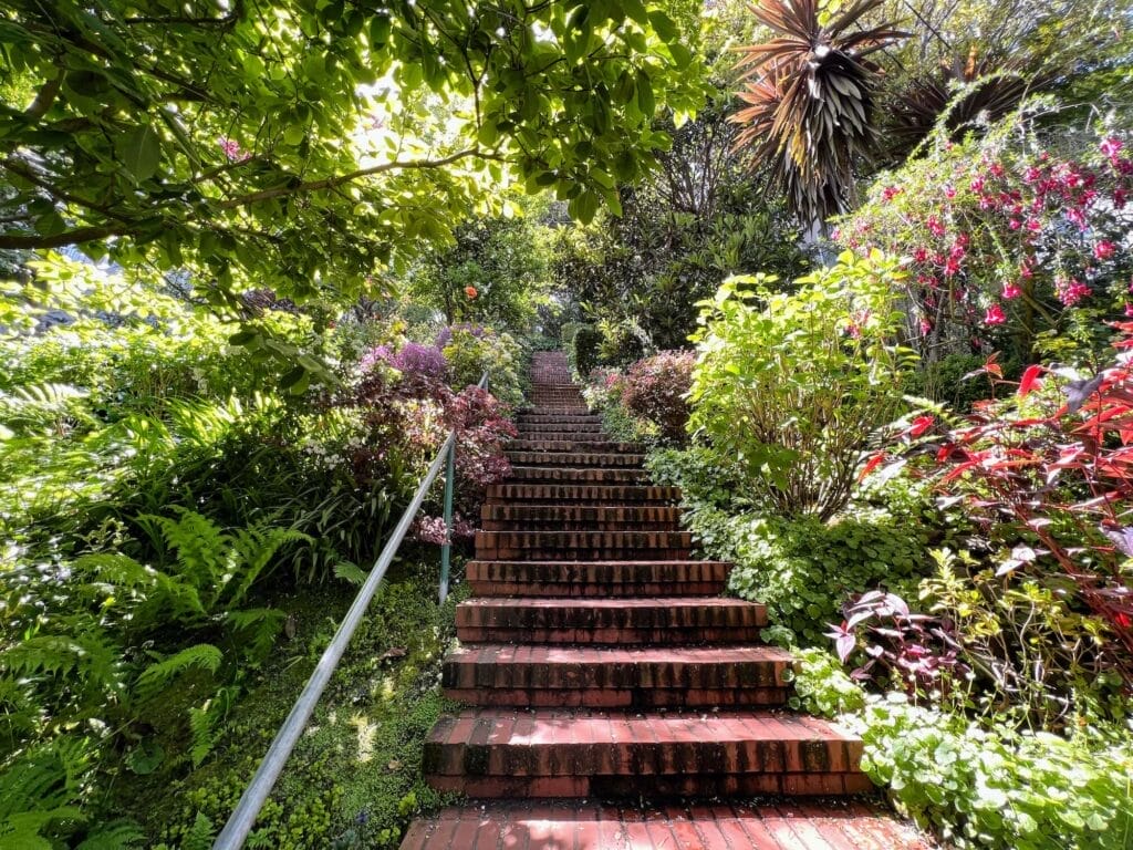 Climbing Filbert Steps to Coit Tower: A Hidden Route with a View