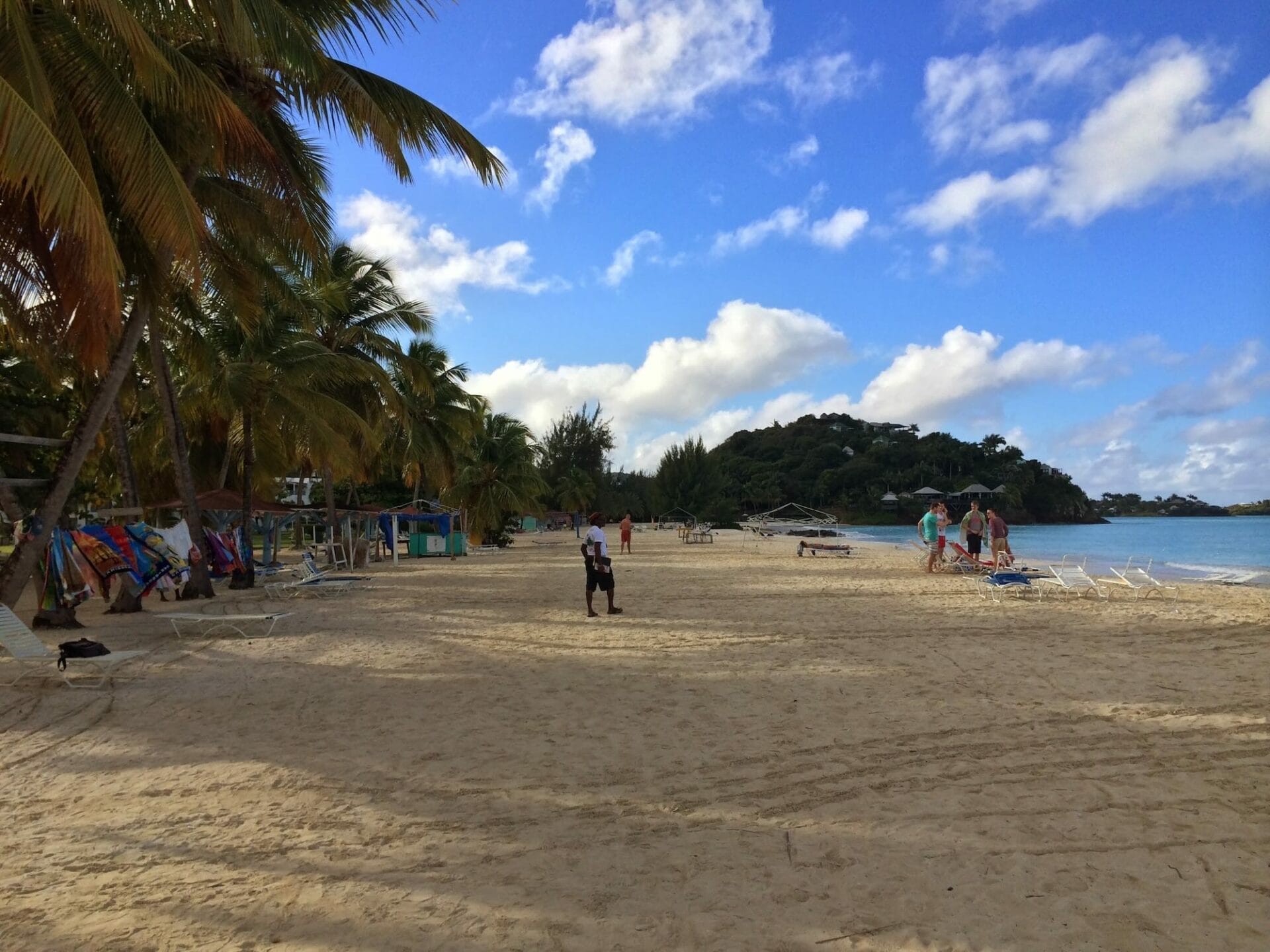Tropical beach with palm trees and blue sky.