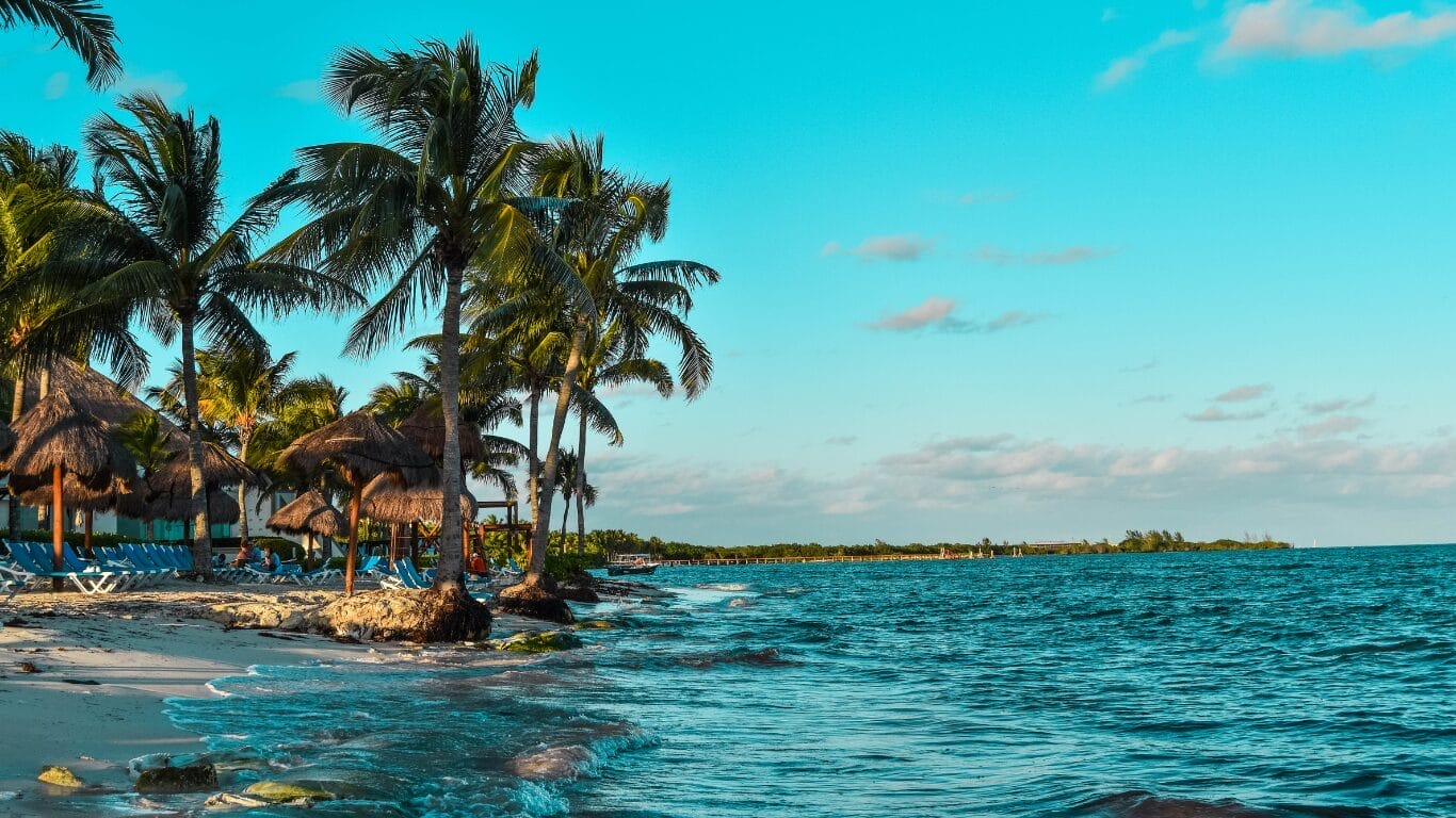 Tropical beach with palm trees and ocean view.