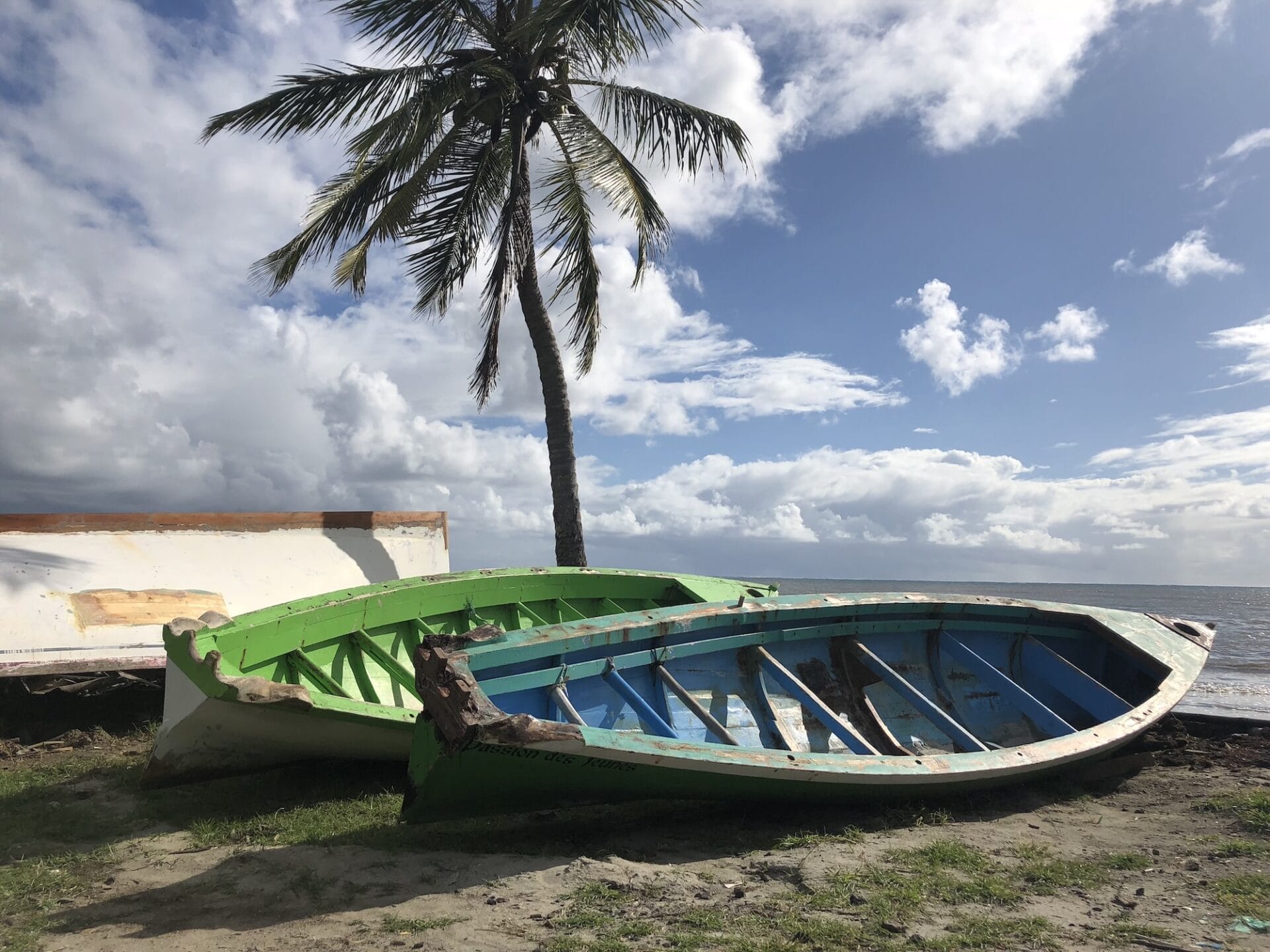 Abandoned boats by palm tree on beach
