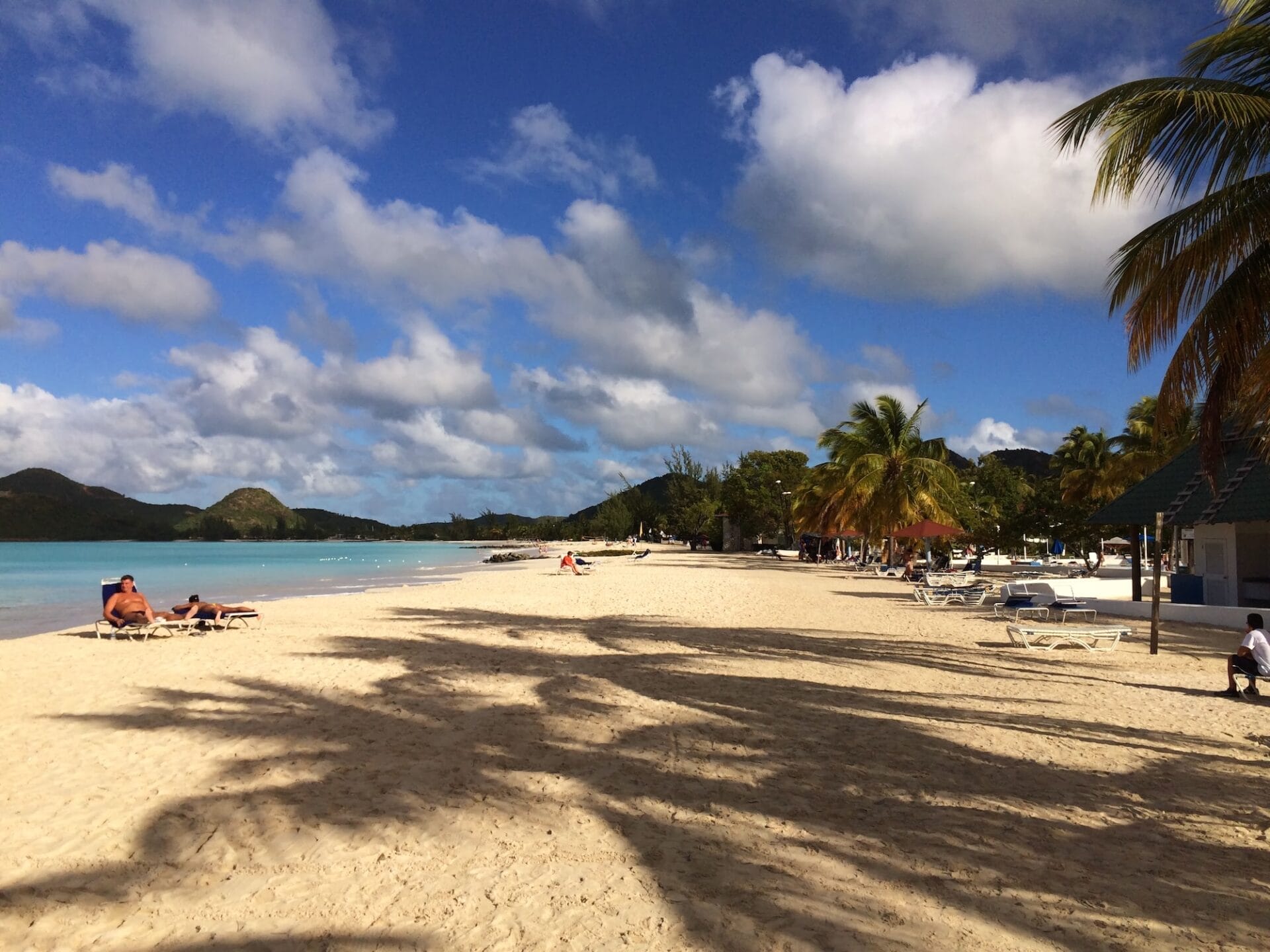 Sunny tropical beach with palm trees and loungers.