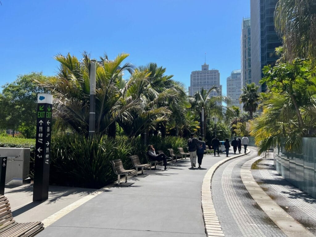 Urban park path with palm trees and skyscrapers