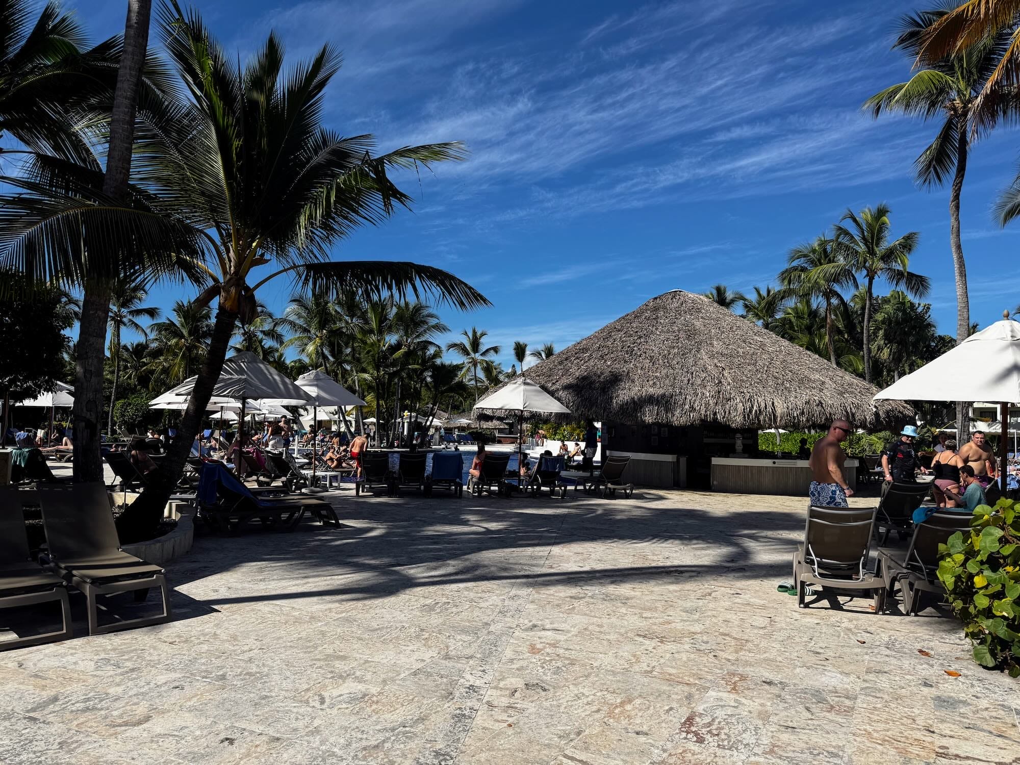 Beach resort with palm trees and lounge chairs.