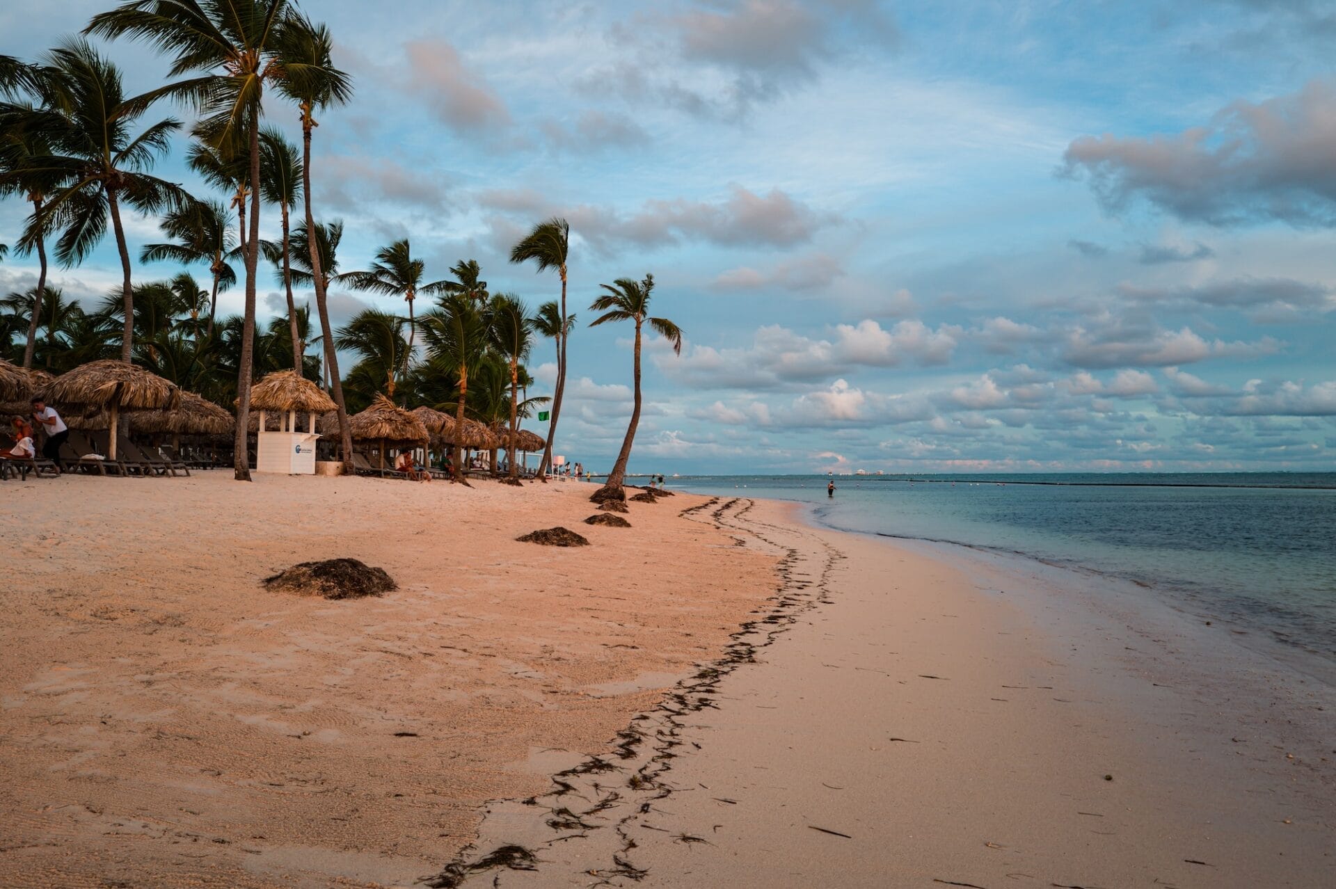 Tropical beach with palm trees and thatched huts