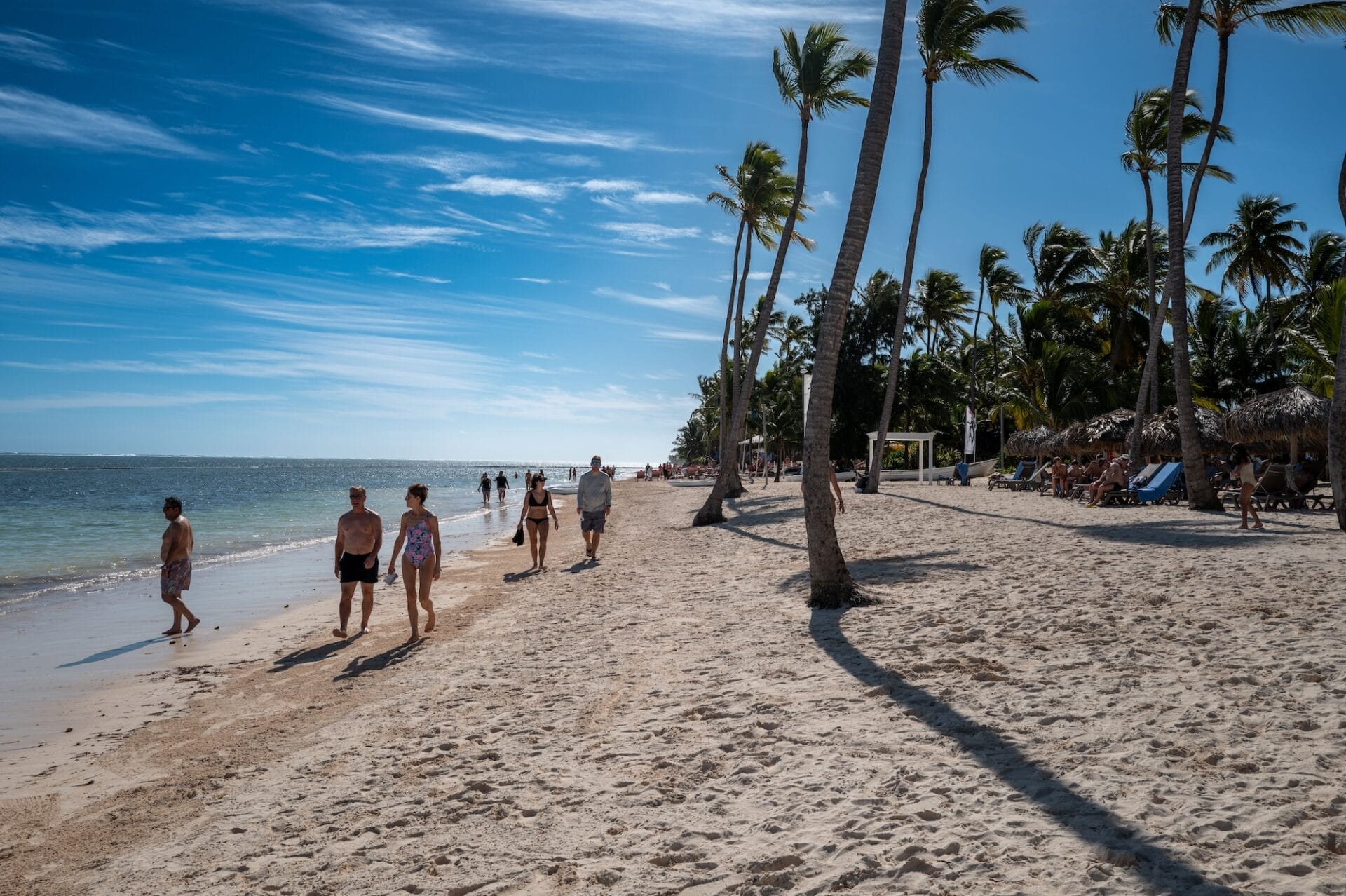 People walking on sandy beach with palm trees
