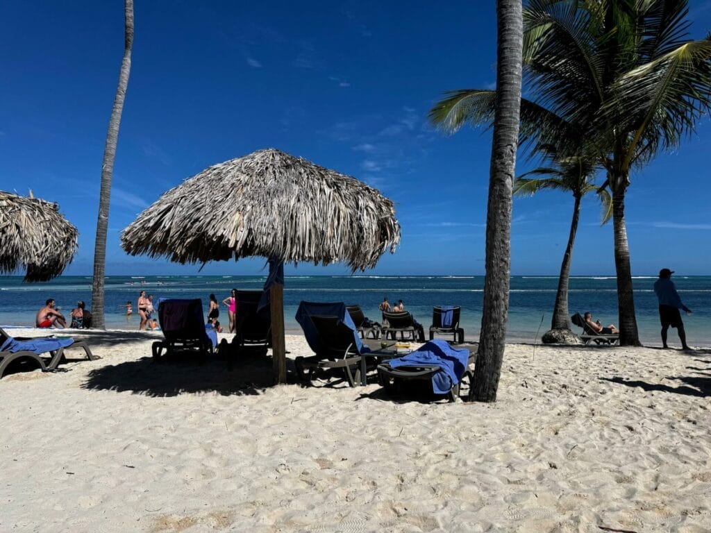 Tropical beach with palm trees, loungers, and thatched umbrellas