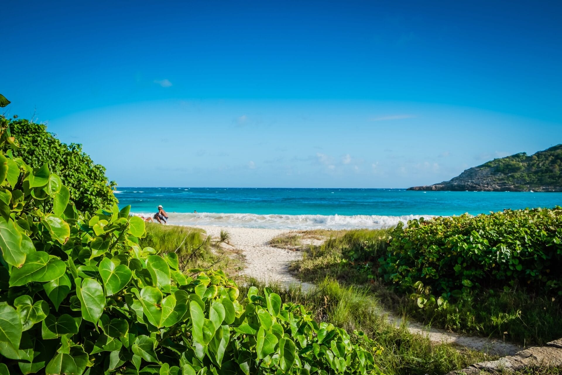 Tropical beach with greenery and ocean waves